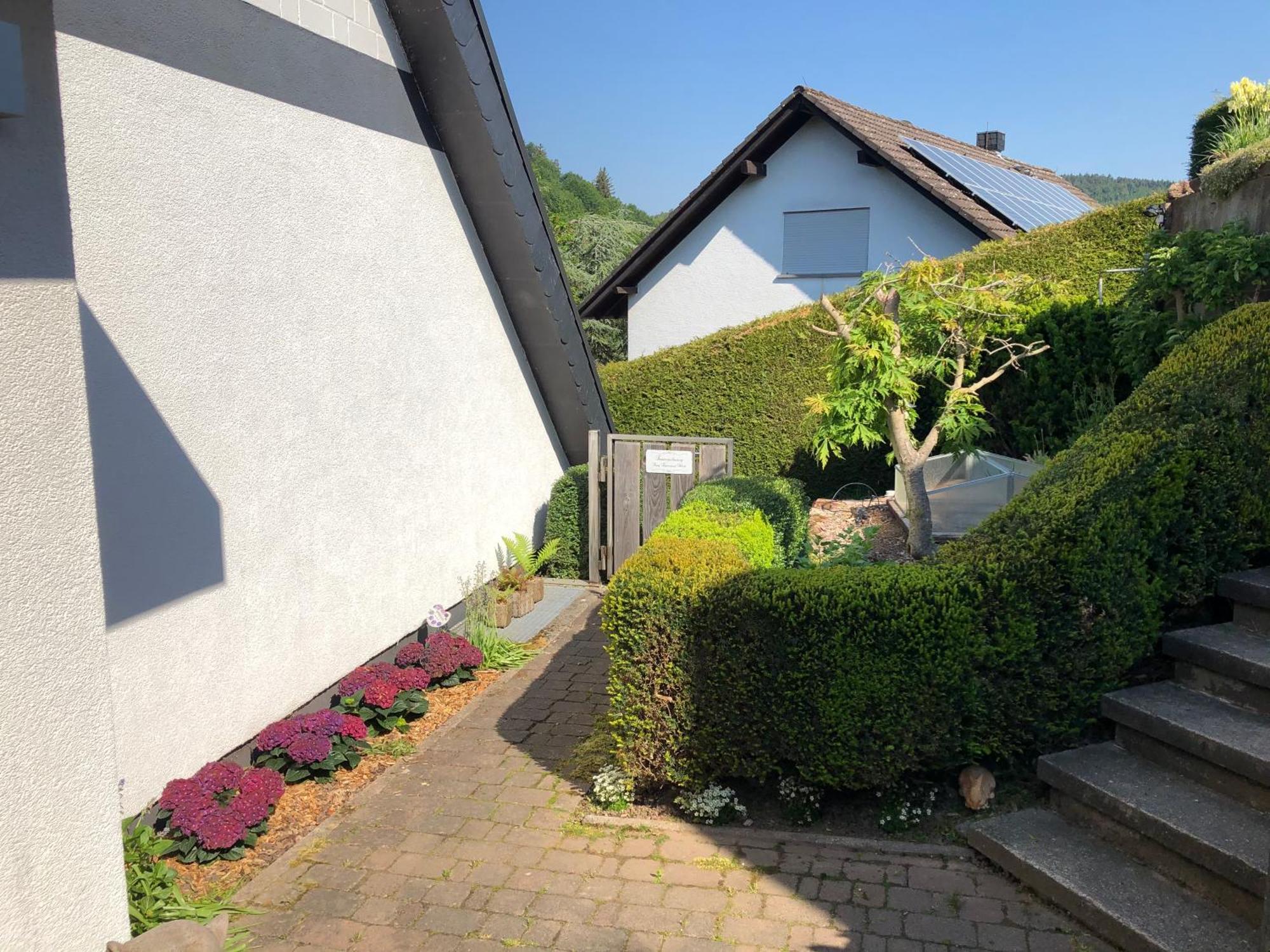 Burg Freienstein Blick 4 Sterne Mit Sauna Gammelsbach Ngoại thất bức ảnh